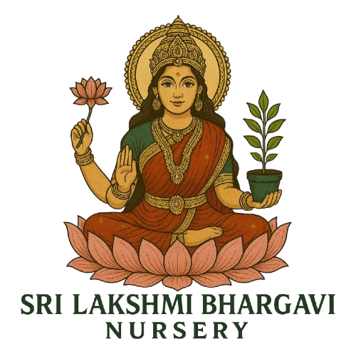 Sailakshmi Enterprises